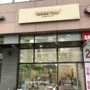 헤미쉬플레르