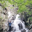 운산제 티스토리