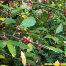 장촌공원 이미지