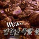 부산족발 - 중구 광복로 13-1 | 부산족발