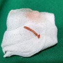 이홍섭정형외과의원 이미지