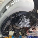 월드오토밋션 이미지