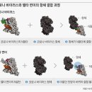 델타사이언스 이미지