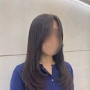 디탐헤어 네이버블로그