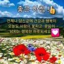 예쁜그대방