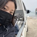 굴업도 트레킹, 굴업도 민박 평일에 다녀온 후기.