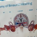 복음보청기 마포센터 이미지