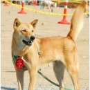 참좋은축산 이미지