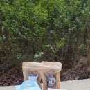 유앤아이결혼전문회사 | 회사 결혼답례품 추천 호두정과답례품 스위트잼잼