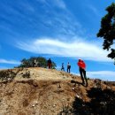 홍도밥상민박 | 인천 굴업도 여행 후기<1> 배편 민박 먹거리 여행코스 한번에 알아보기