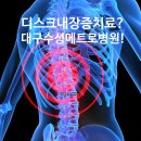 수성 메트로 동물병원 이미지