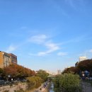 남부종로약국 이미지