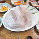 돼지네회센타 이미지