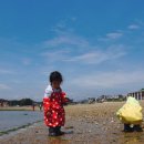 무창포해수욕장 이미지