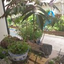 메타버스공인중개사사무소 이미지