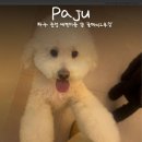 올데이 그루밍 이미지