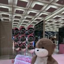 인형백화점 | 판교 현대백화점 팝업 몽모월드 인형 키링 굿즈종류 방문후기