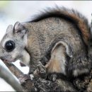 하늘자원 이미지