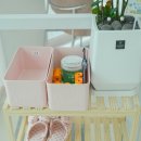 스마일댕댕 이미지