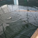 광석낚시터 이미지