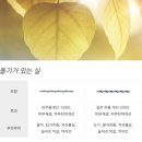 라현의원 이미지