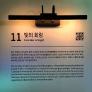 [마을배움터] 꽃이야기 천아트 | 경주 플래시백 계림 미디어아트, 공간별 포토존 전시 해설 정리