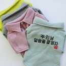 허니문구