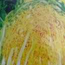 진선농장 이미지