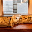 후미후미 이미지