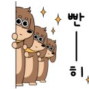 신안순대국
