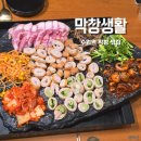 통통생막창 | 수원역 맛집추천 막창생활 생막창전문점 내돈내산 후기