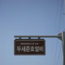 두세준 효열비 Daum카페