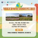 1순환로(3-170) 네이버블로그