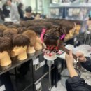 헤어스컬프쳐
