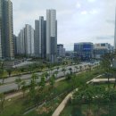 파라곤단지내공인중개사사무소 이미지