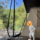 아기랑 캠핑 입문용 텐트 추천 (빌리지13 vs 오패캐420 vs 오패캐600 현실 비교)