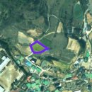 돌산읍사무소 이미지