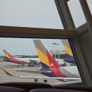 5세대 이동통신 그리고 48시간 | [🇦🇺호주] 시드니에서 주어진 시간, 단 하루