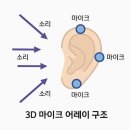 어레이 이미지