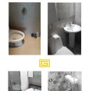 크린오포 이미지