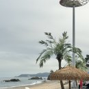 관성솔밭해변 이미지