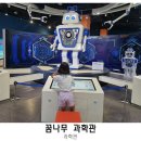 꿈나무 책놀이터 | 국립대구과학관 꿈나무과학관 실내체험