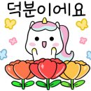 분홍달