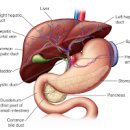 간 기능 저하 5가지 이미지