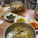 울릉도 현지인 추천 맛집 <신애분식> 따개비 칼국수 솔직(히 맛있는) 후기