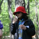 수리산 산림욕장 이미지