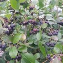 동교2길-8 이미지