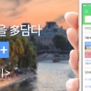 반려하다 이미지