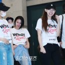 채영 카카오 검색결과