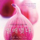 열매지은이